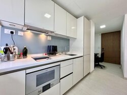 V On Shenton (D1), Apartment #457266561